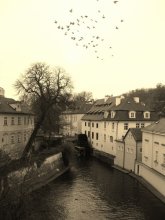 Im Vorgriff auf die kalte / ***
