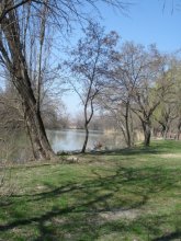 Der Frühling naht, Frühjahr Straße! / ***