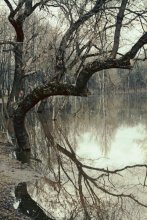 im Hochwasserschutz / *******