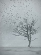 Last-Minute-Winter / ******