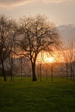 Sonnenuntergang / ***