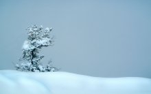 Aber für den Nebel - Groß Canyon .. / ***
