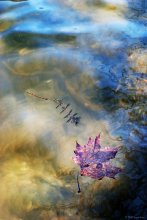 Segeln Quellwasser ... / ***