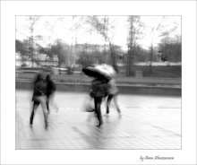 Rainy Schatten / ***