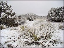 Nackt Meskika. Schnee Schlag / ***