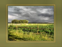 Vor dem Sturm / ***