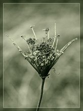 Herbst / ......