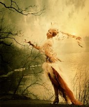 Vogel / ***