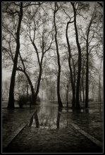 Misty - 1 / ***
