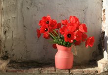 Salute to Spring! / ***
