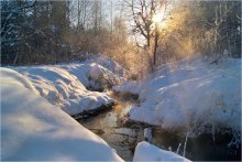 Frosty Day / ***