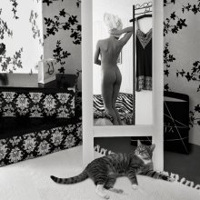 über eine Katze ... / ***