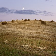 Landschaft nach der Schlacht / ***