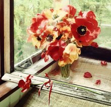 Tulpen / ********