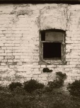 Exit / ***