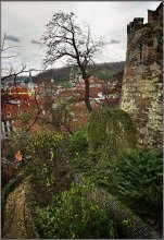 Bewölkt / ***