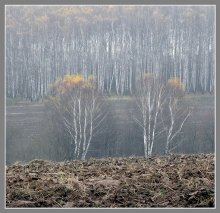 Am Rande des Feldes. / Olympus C-5060