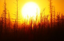 Sonnenaufgang in der Tundra / ***