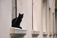 nicht ein einsames Fenster / 132564
