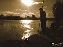 Abend Angeln / ***