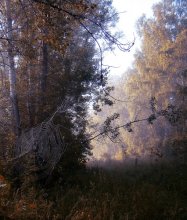 Herbst / ***