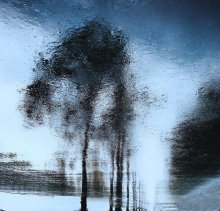 Nach dem Regen / ***