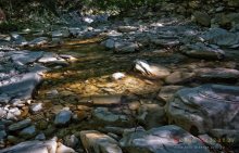 Kleiner Fluss / ***