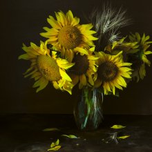 Sonnenblumen / ***