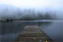 Talking with Nature: Dialogue / ***