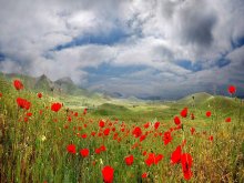 "... Ich liebe das Feld lag ..."* / ***