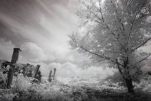 graue Welt / ***