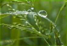 Nach dem Regen / ***