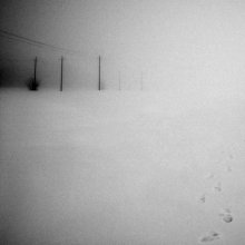 Suchen Sie in einem Schneesturm / ***