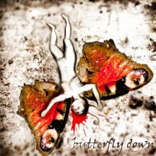 butterfly down / ***