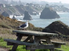 "in memory of Mike", California, USA / Bodega Bay, CA, USA