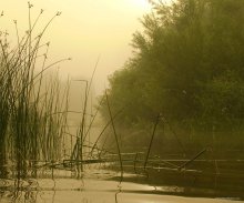 Wet Morgen / ***