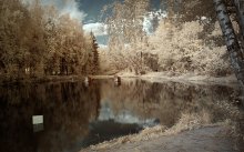 Snowy Creek / ***