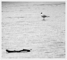 Einsamkeit / ***