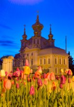 Peterhof / ***