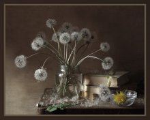 Fluffy Sommer / ***