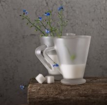 Forget-me- / *****