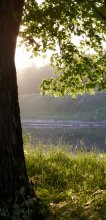 Sommer! Ich würde für dich liebe ... / ***