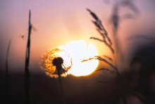 Abend / ***