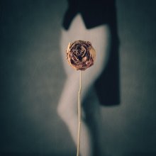 Rose I / ***