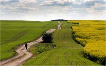 Radweg / -----