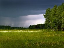 Wiese vor dem regen / ***