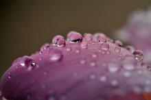 Rain... / ******