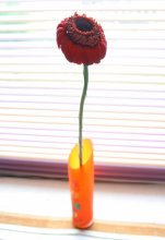 Alte Gerbera / -----