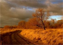 Cheat Herbst / ***
