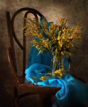 Mimose / ***